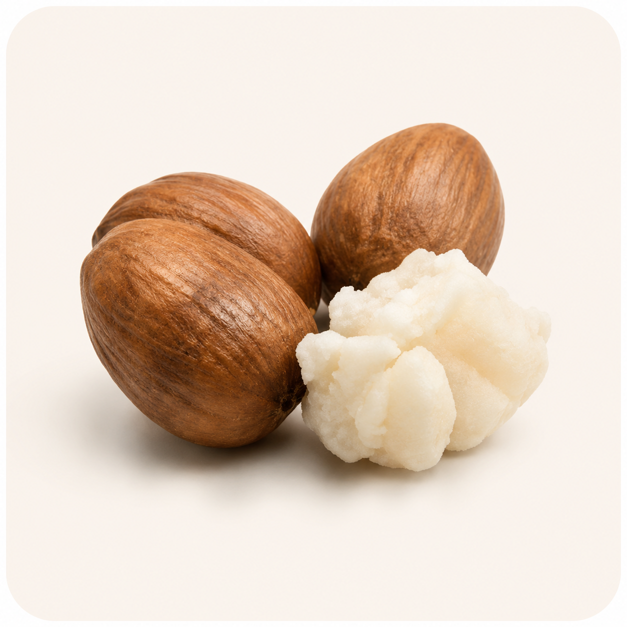 Shea Butter